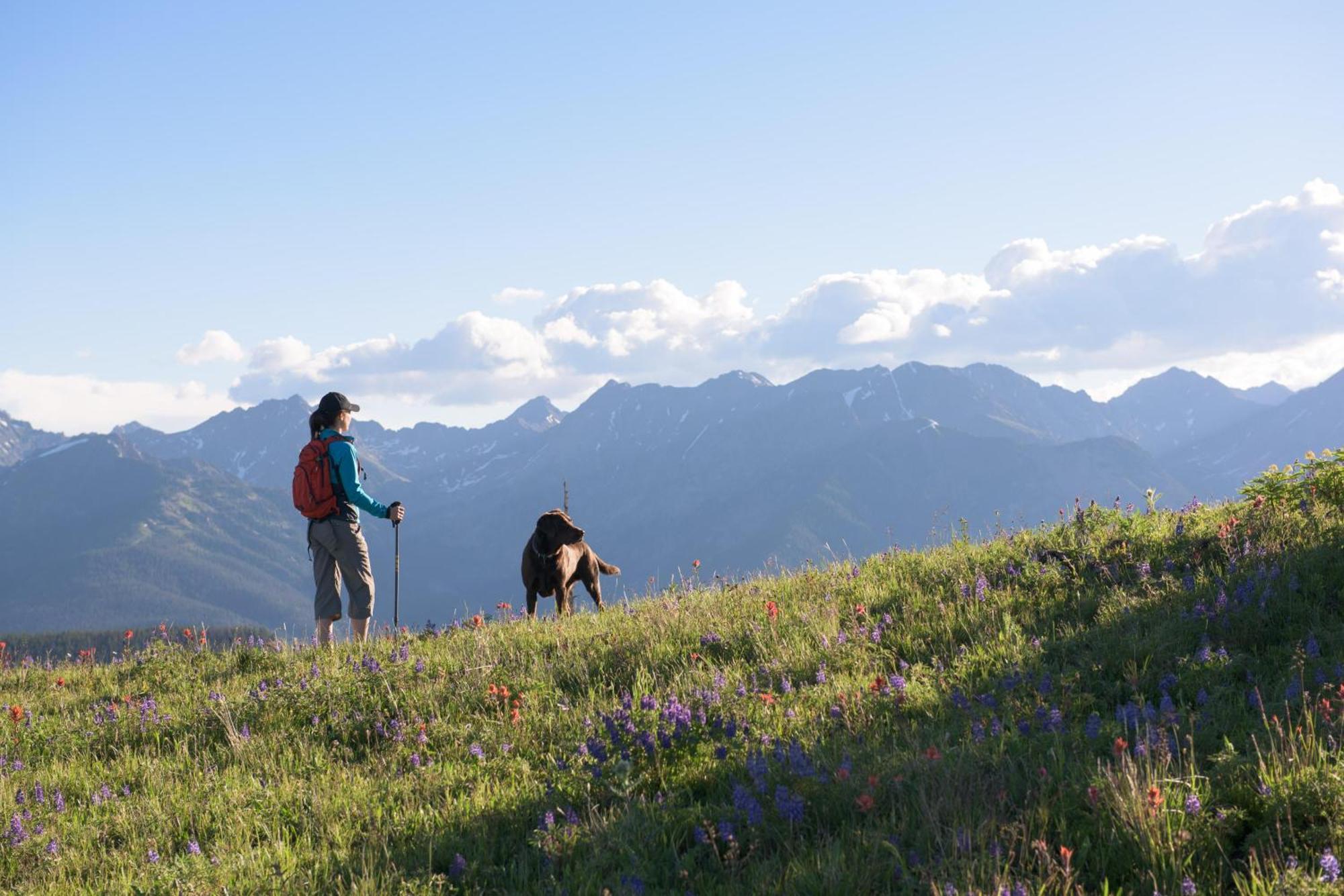 Lift House Lodge, Pet Friendly, Premium Studio Condo Vail Exteriér fotografie